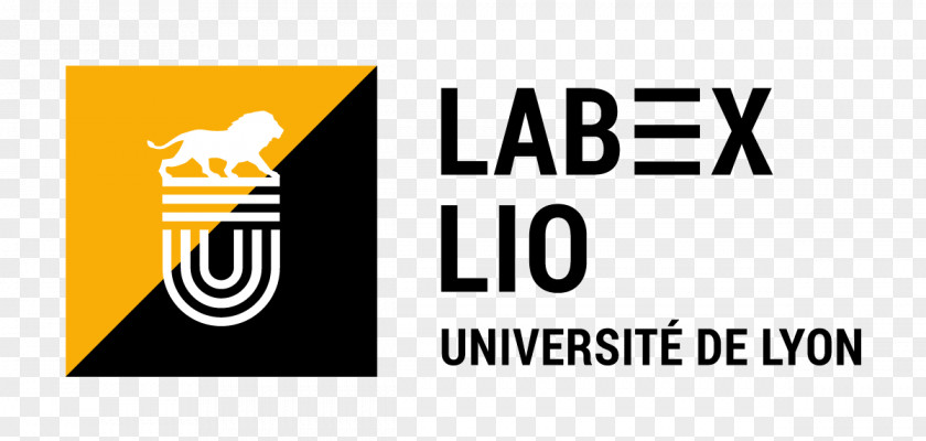 Lio University Of Lyon École Normale Supérieure De Lumière 2 Jean Monnet Labex PNG
