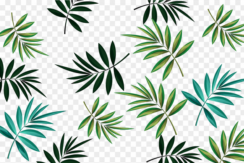 Plant Stem Leaf Flower Arecales Flora PNG