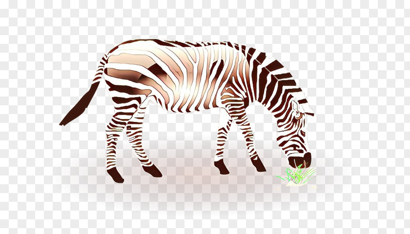 Zebra Wildlife Animal Figure PNG