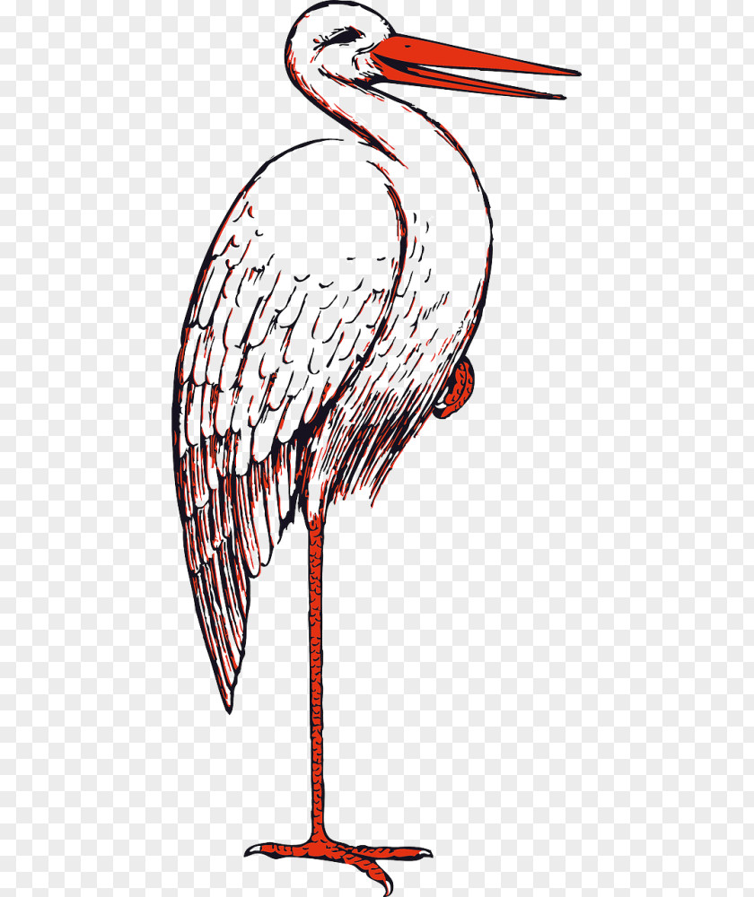 Bird White Stork Marabou Clip Art Openclipart PNG