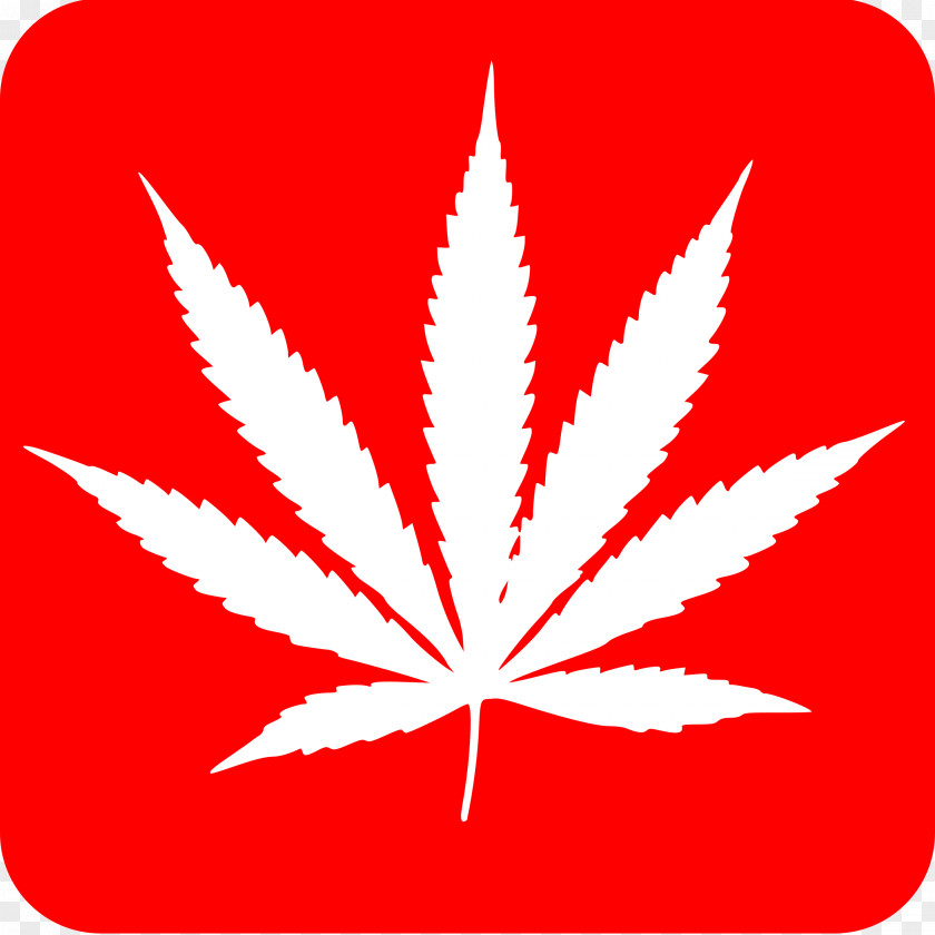 Cannabis Medical Hash Oil Drug Cannabidiol PNG