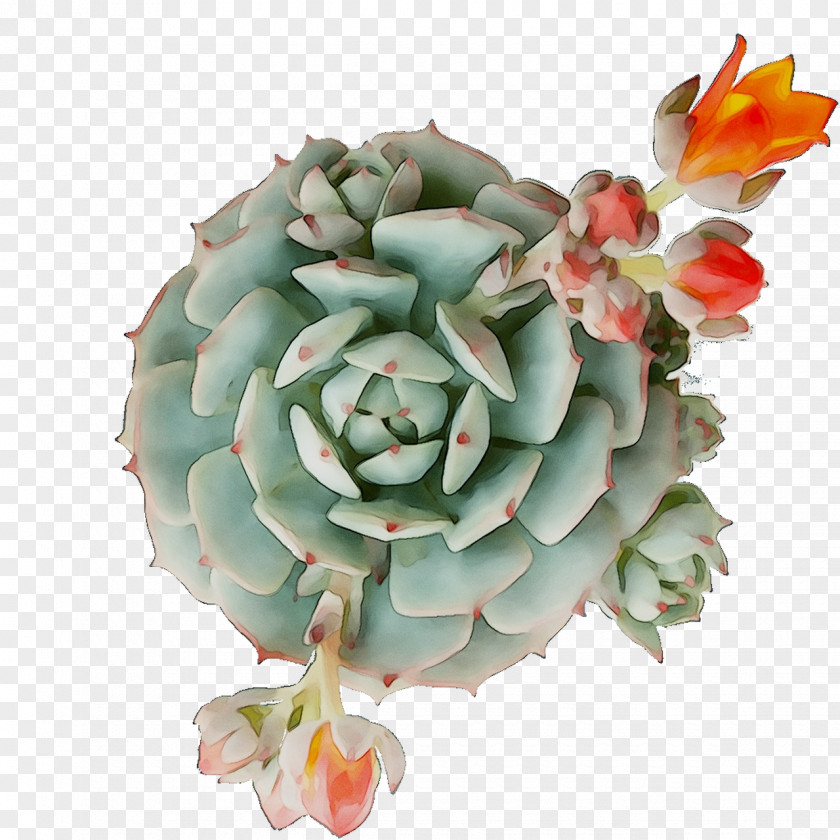 Flower PNG