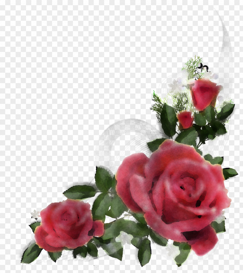 Garden Roses PNG