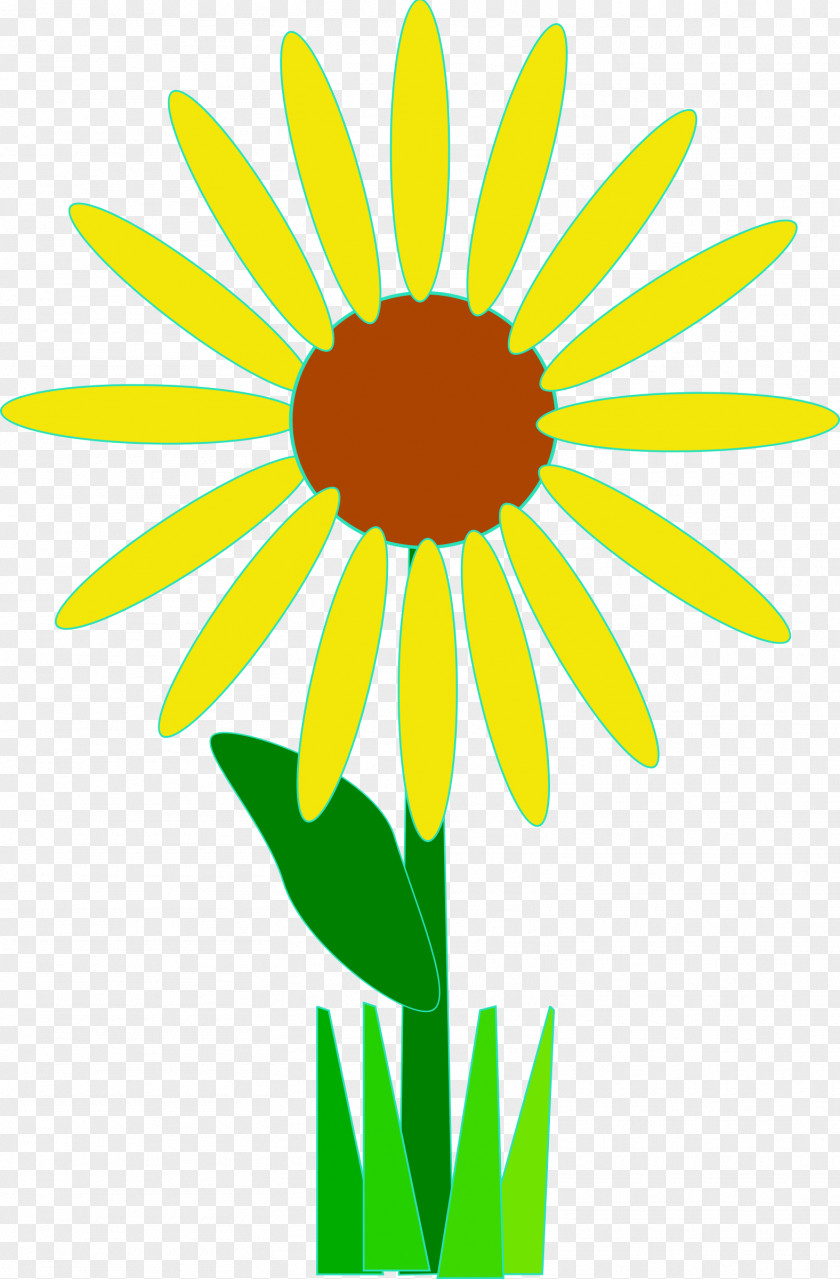 Safflower Clipart Flower Clip Art PNG