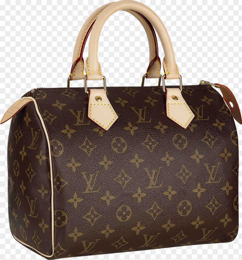 Bag Chanel Handbag Louis Vuitton Gucci PNG