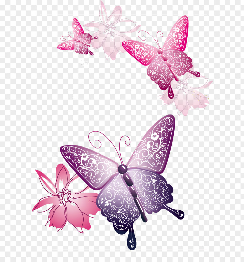 Copywriter Background Elements Butterfly Clip Art PNG