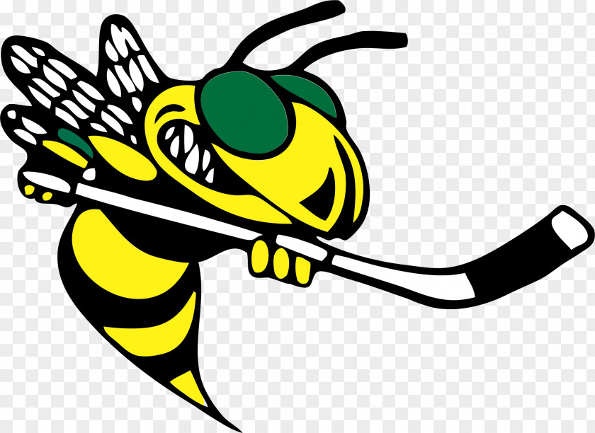 Hornets North Reading Youth Hockey Clip Art Hornet Image Logo PNG