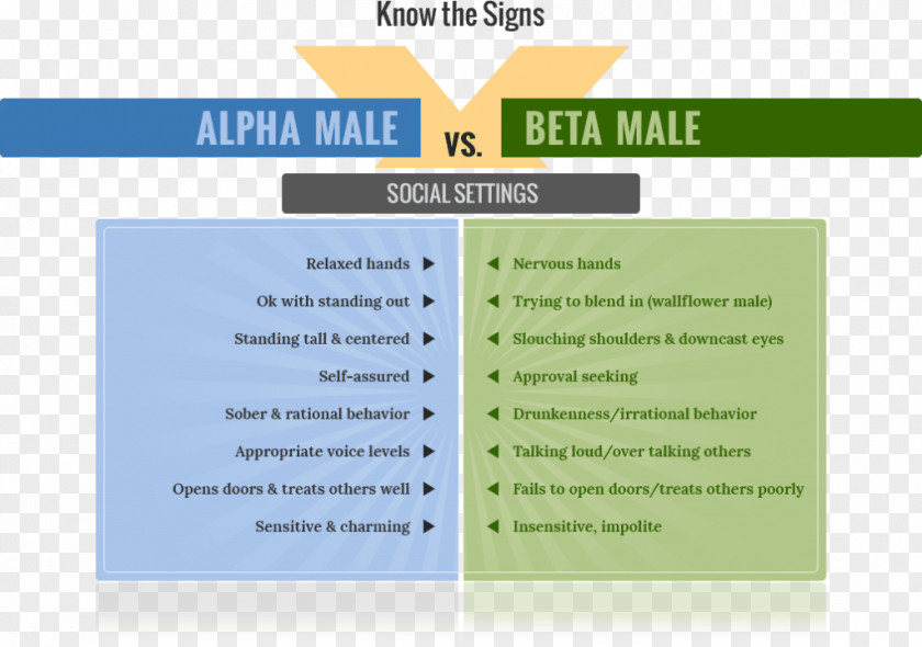 Cool Men Alpha Beta Male Female Psychology PNG