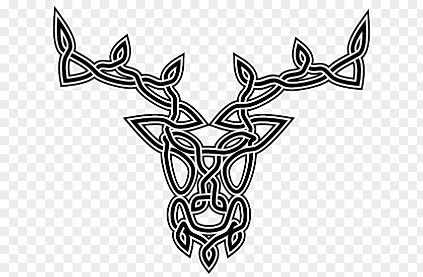 Deer Celtic Knot Celts Tattoo PNG