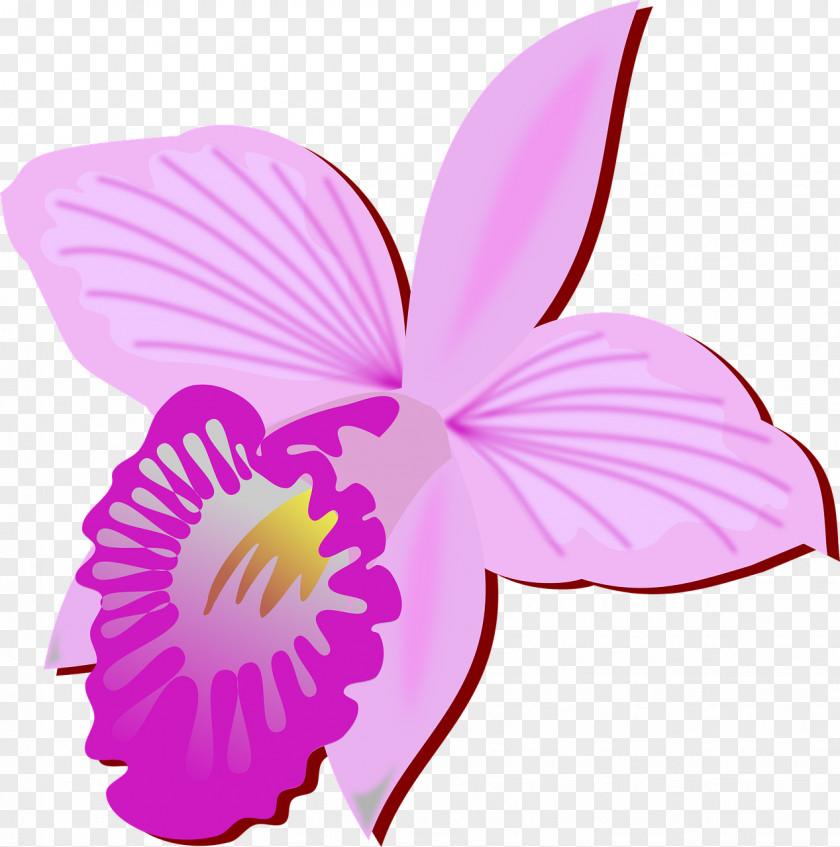 Orchidee Symbol Clip Art Openclipart Free Content Vector Graphics PNG