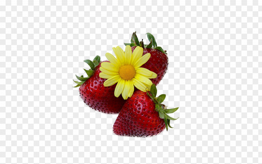 Strawberry Flowers Love Week PNG