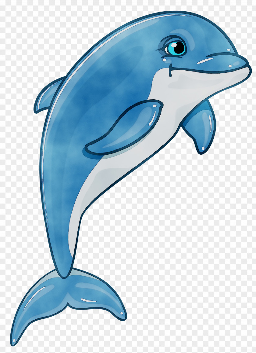 Clip Art Dolphin Free Content Openclipart PNG