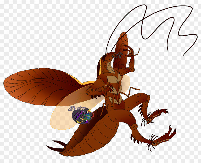 Cockroach Insect DeviantArt Digital Art PNG