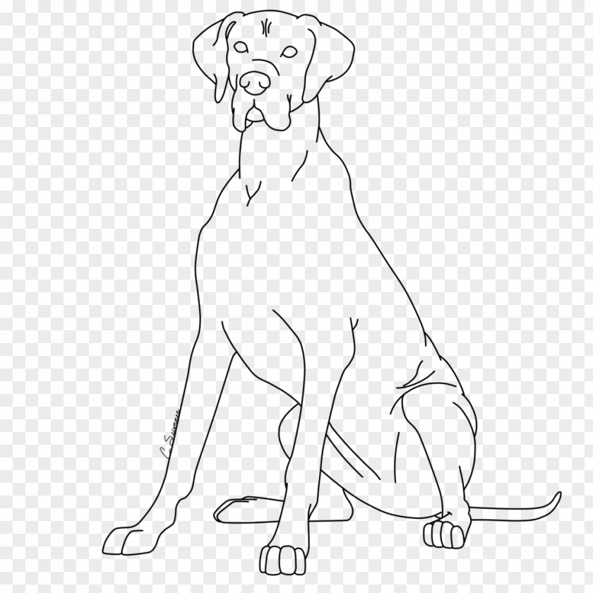 GREAT DANE Puppy Dog Breed Great Dane Dobermann Basset Hound PNG