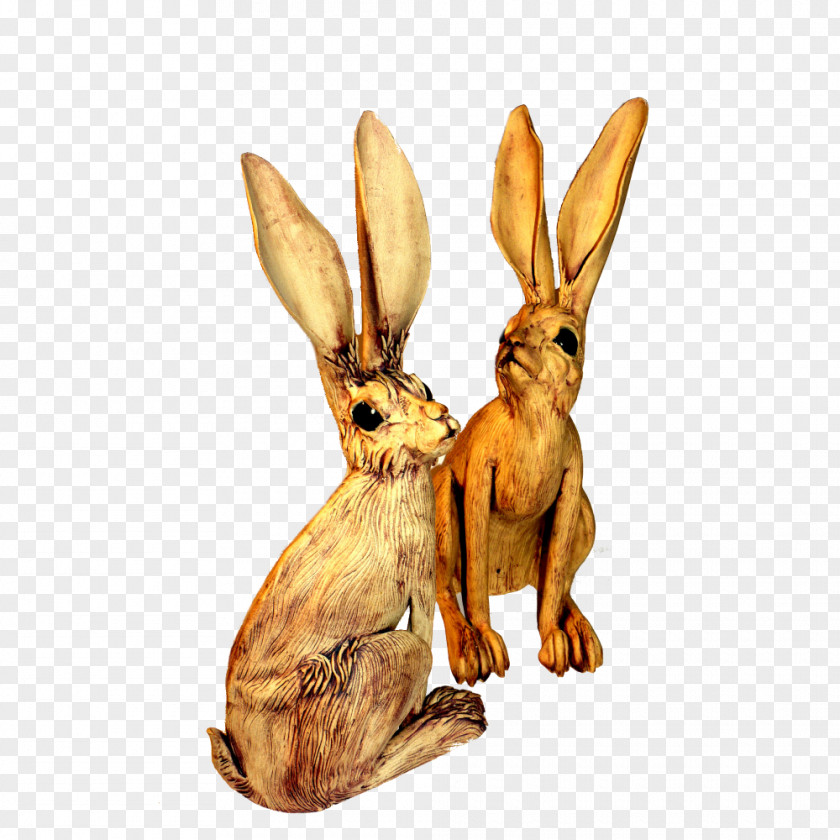 Hare Domestic Rabbit Animal Wildlife PNG
