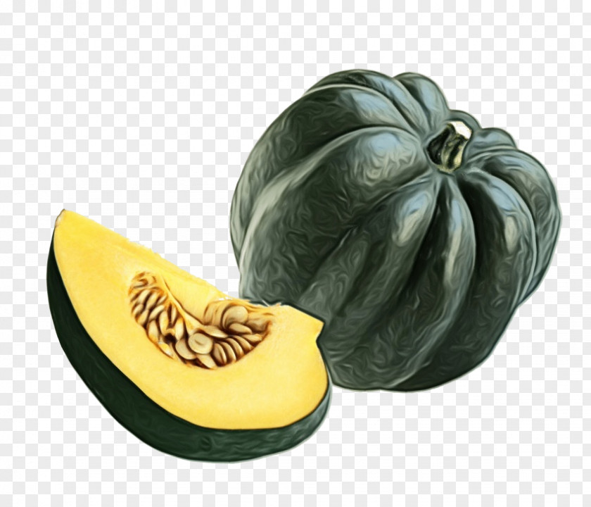 Squash Winter Fruit Melon PNG