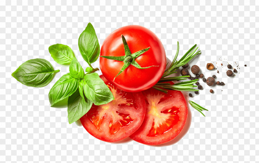 Tomato Herb Spice Basil Stock Photography PNG