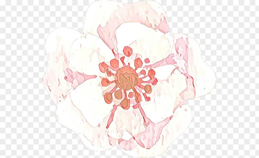 Blossom Peach Pink Flower Plant Petal PNG