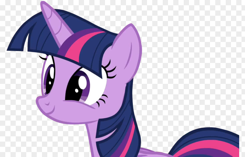 Crown Twilight Sparkle Rarity Rainbow Dash Pony Pinkie Pie PNG