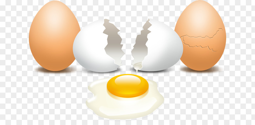 Egg Breakfast Eggshell Yolk PNG