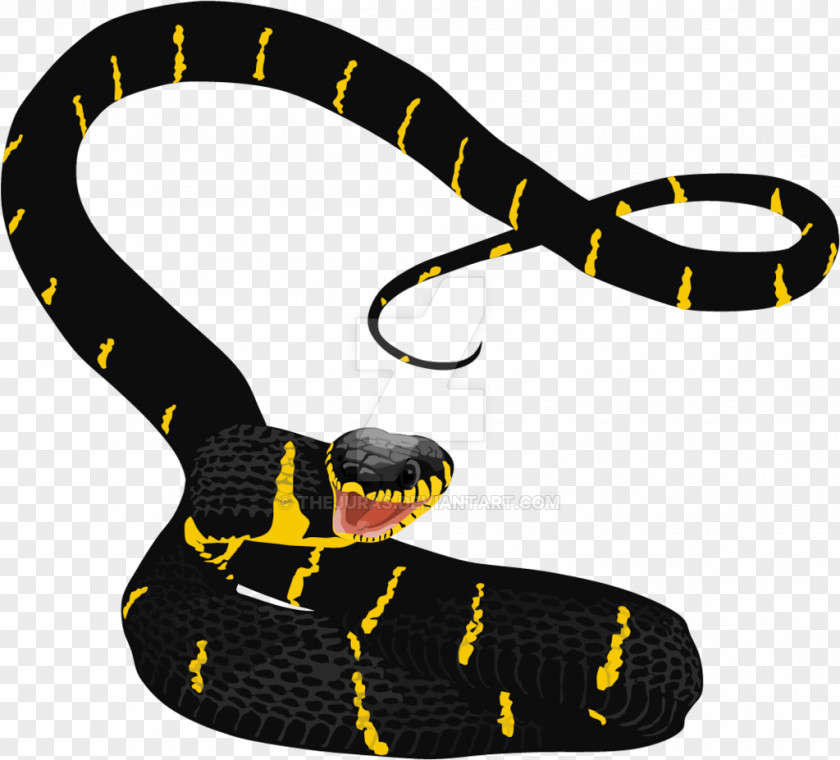 Mangrove Snake Scaled Reptiles Kids Meet The Snakes Boiga Dendrophila PNG