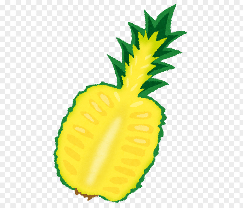 Pineapple Slice Fruit Food Juice Zuur PNG
