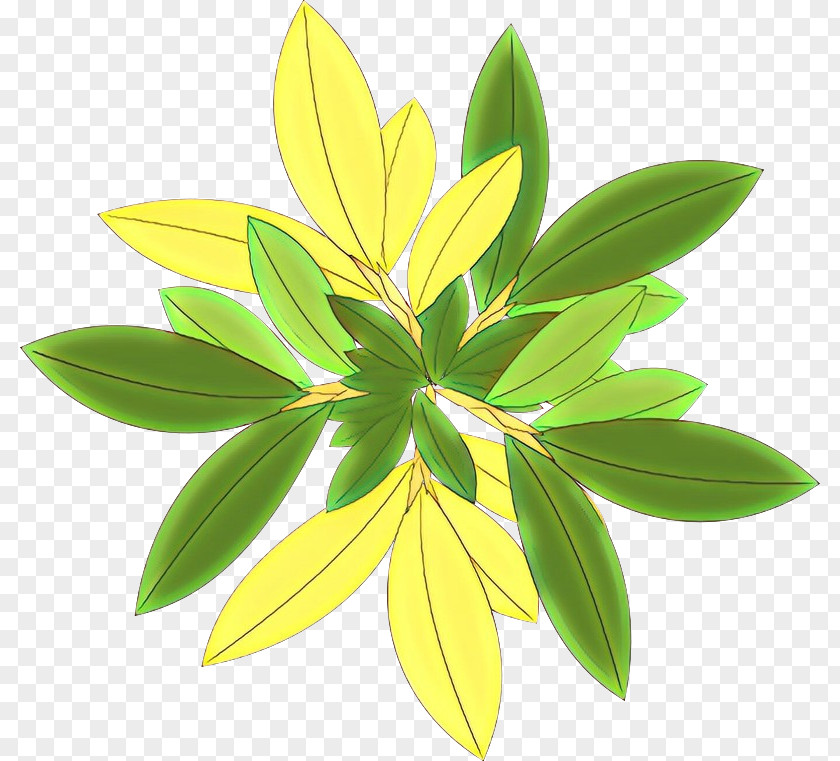 Plants Leaf Tree Plant Stem PNG