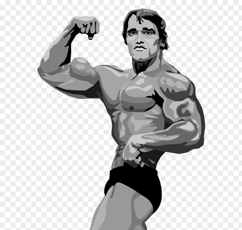 Arnold Schwarzenegger Terminator 2: Judgment Day Bodybuilding PNG