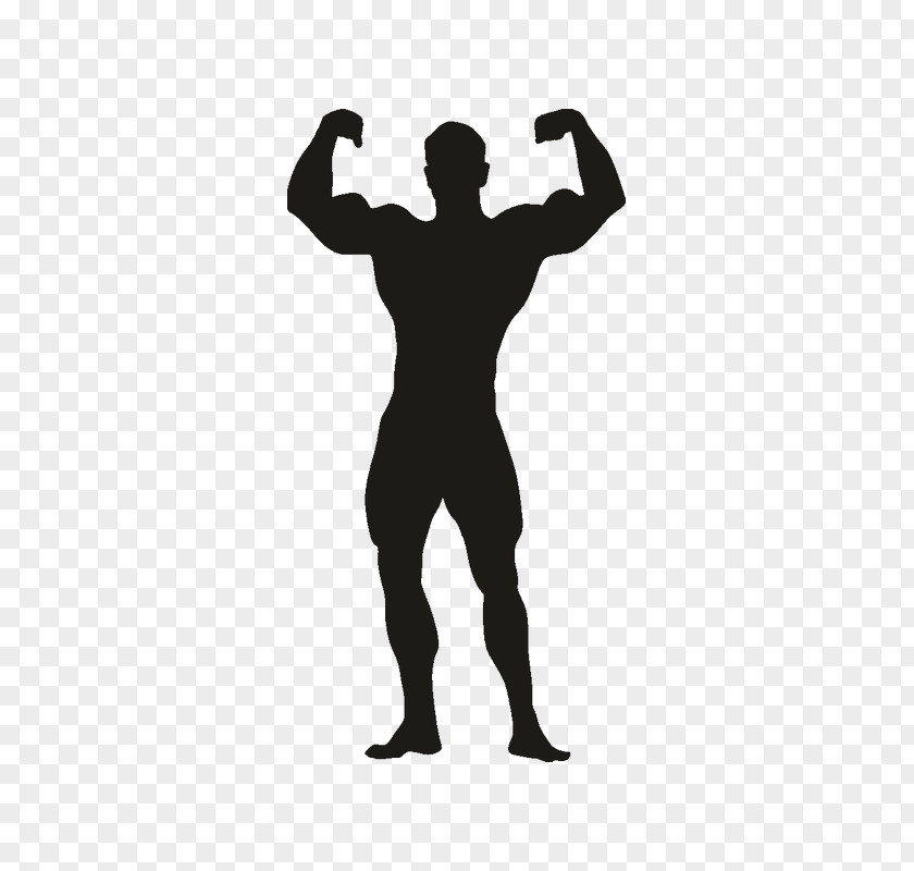 Bodybuilding Female National Physique Committee Clip Art PNG
