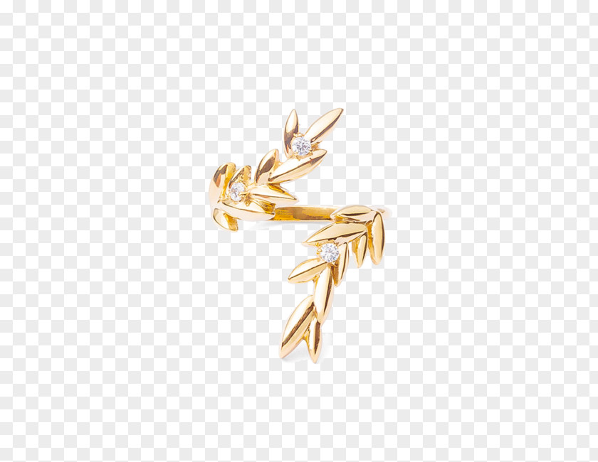 Jewellery Body PNG