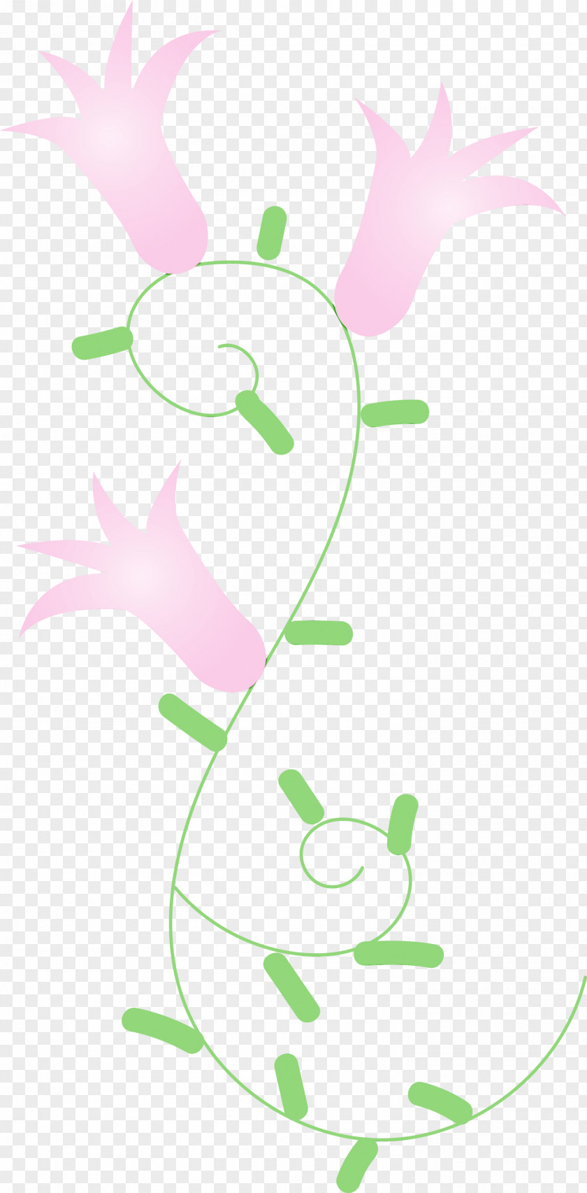 Plant Stem Leaf Petal Cartoon Line Art PNG