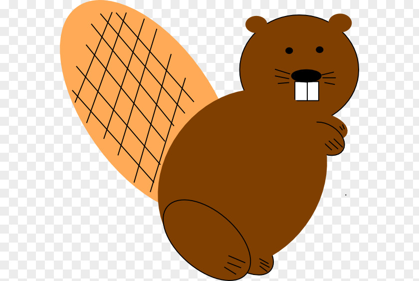 A Beaver With Different Colored Tails North American Clip Art PNG
