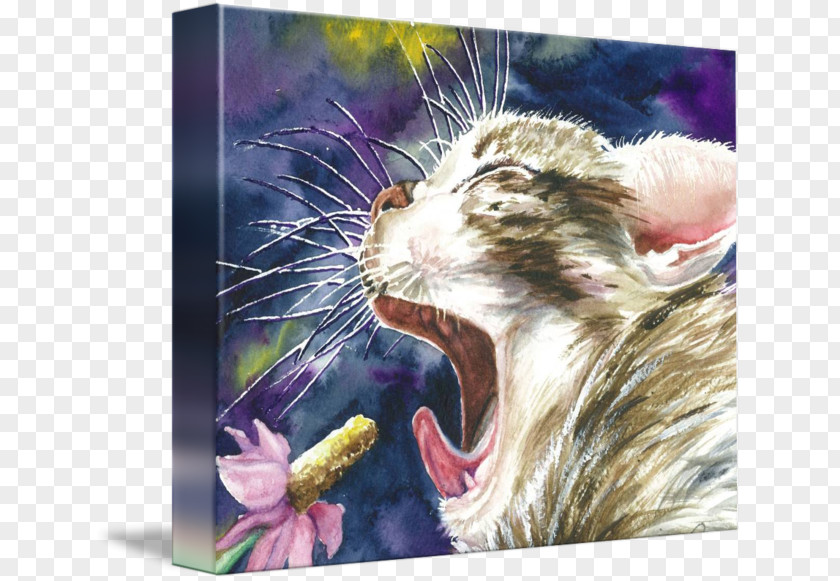Ktv Posters Whiskers Kitten Tabby Cat Mouse PNG