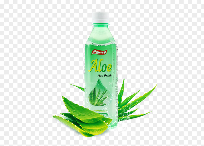 Plant Aloe Vera Liquid Water PNG