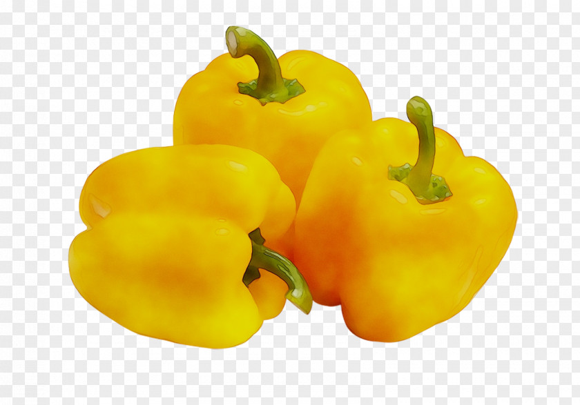 Yellow Pepper Habanero Bell Chili Food PNG