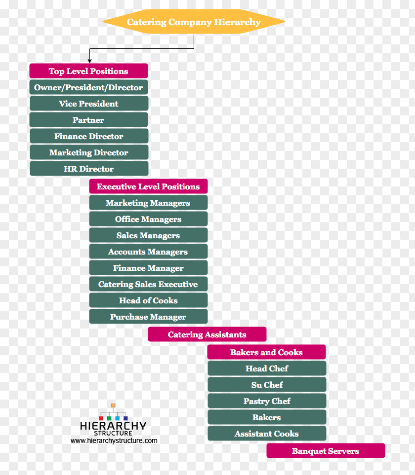 Business Hierarchical Organization Catering Hierarchy Senior Management PNG