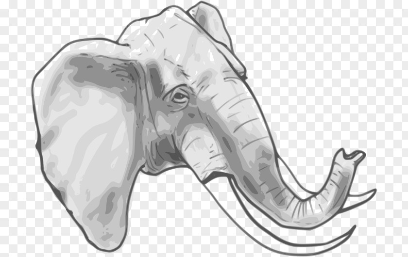 Elephant African Clip Art PNG