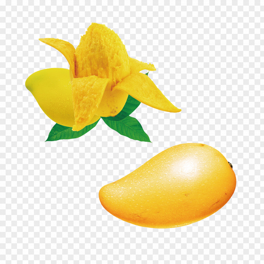 Mango Fruit Juice Seed Mangifera Indica PNG