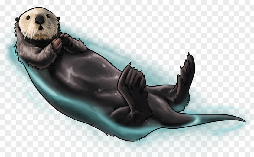 Sea Lion Marine Mammal Pinniped Animal PNG