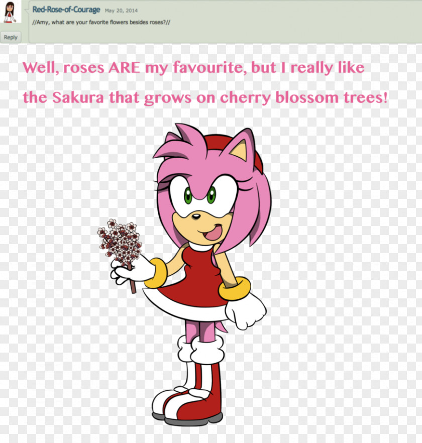 Amy Rose Sonic Riders Advance CD Tails PNG