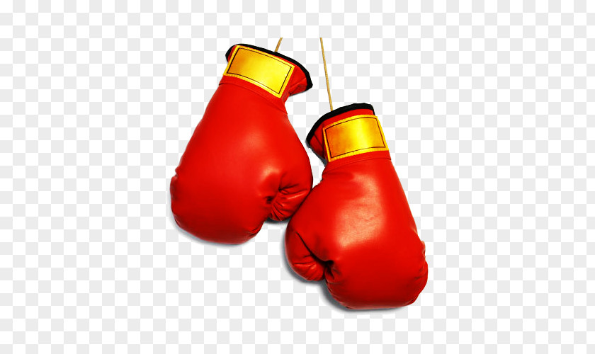 Boxing Gloves File The Bully: A Life Of Violence And Transformation Your Can Be Better: Using Strategies For Adult ADD/ADHD Living Daily With ADD Or ADHD: 365 Tips O Day Helping People In Crisis Bullying PNG