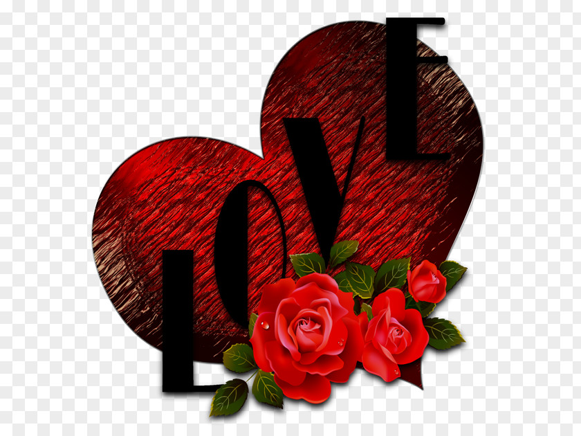 Heart Love Clip Art PNG