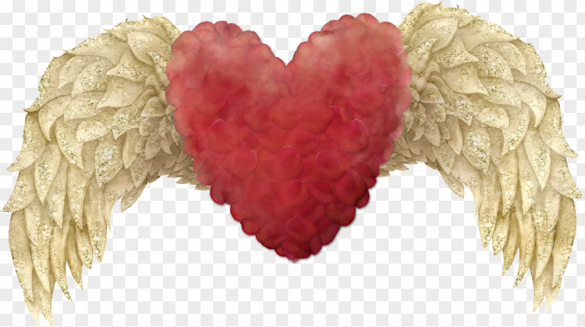 Heart Wings Cherub Wing Clip Art PNG