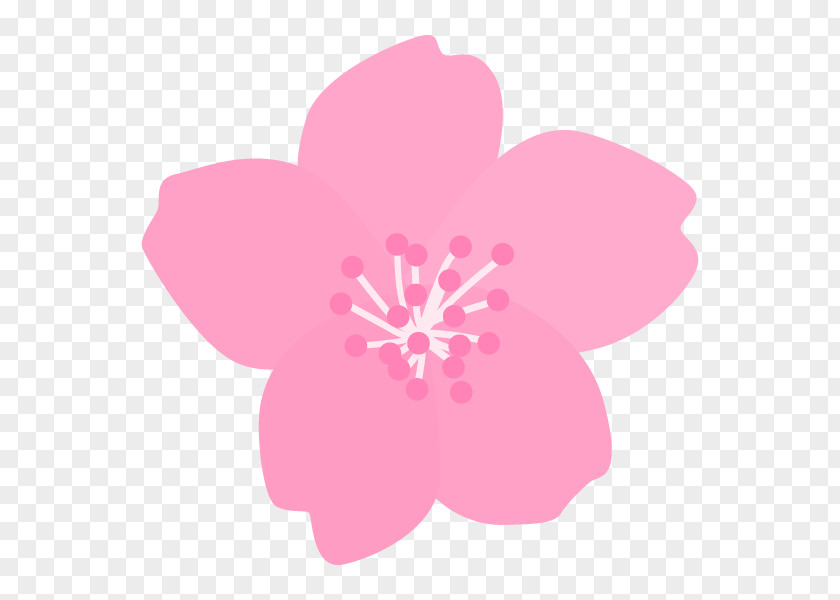 Illustration Cherry Blossom Vertebral Column Orthopedic Surgery Shinagawa Shisyokai Hospital PNG