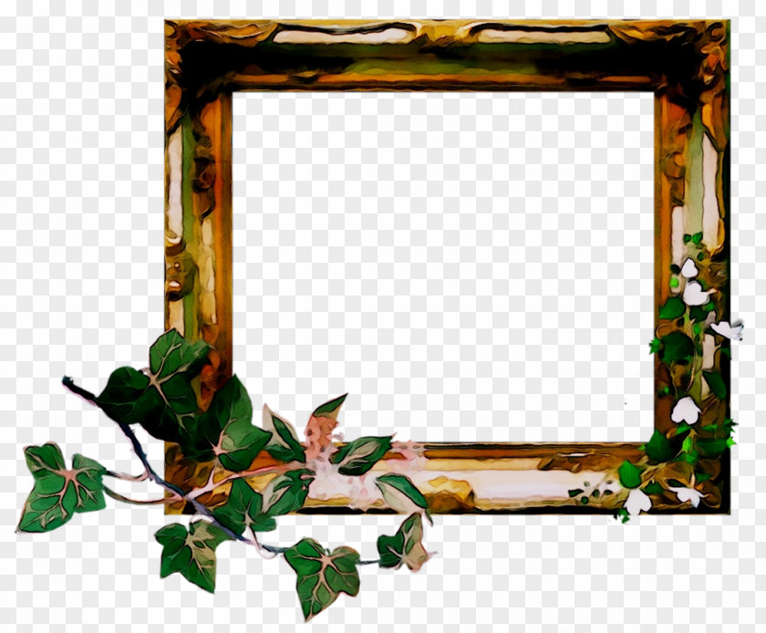 Image Drawing Picture Frames Clip Art PNG