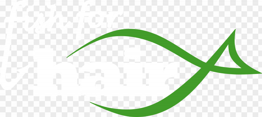 Leaf Brand Logo Clip Art PNG