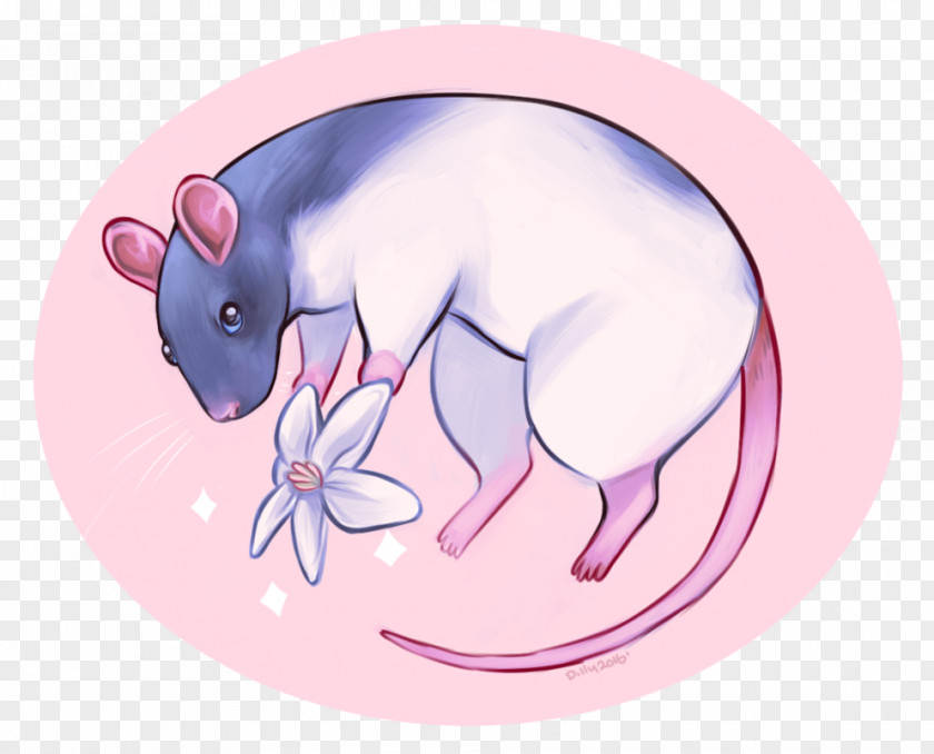 Mouse Pig Whiskers Snout PNG