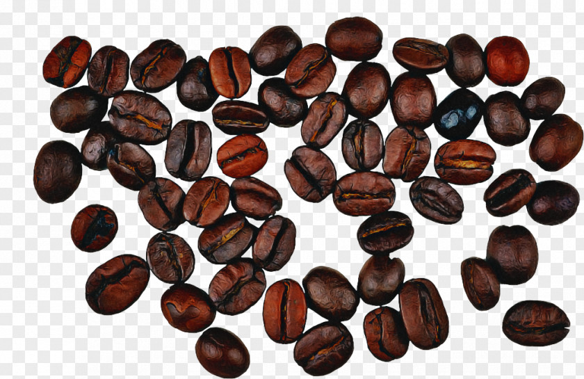 Superfood Caffeine Plant Food Bean Seed Java Coffee PNG