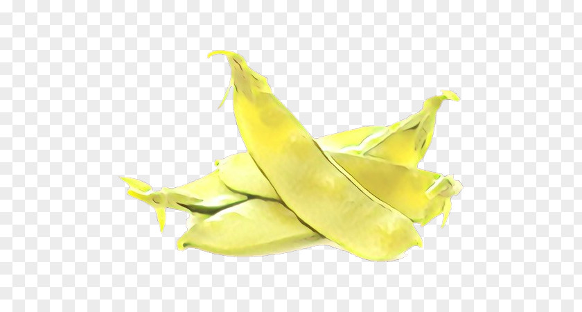 Yellow Plant Food Legume Fruit PNG