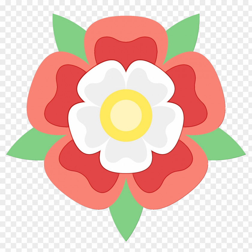 Camellia Wildflower Rose Flower Drawing PNG